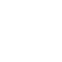 protecao-lincoln-logo-icone