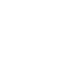 couro-100-icon-lincoln